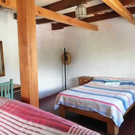 Hostalito Casa Alebrije Guanajuato Kültér fotó