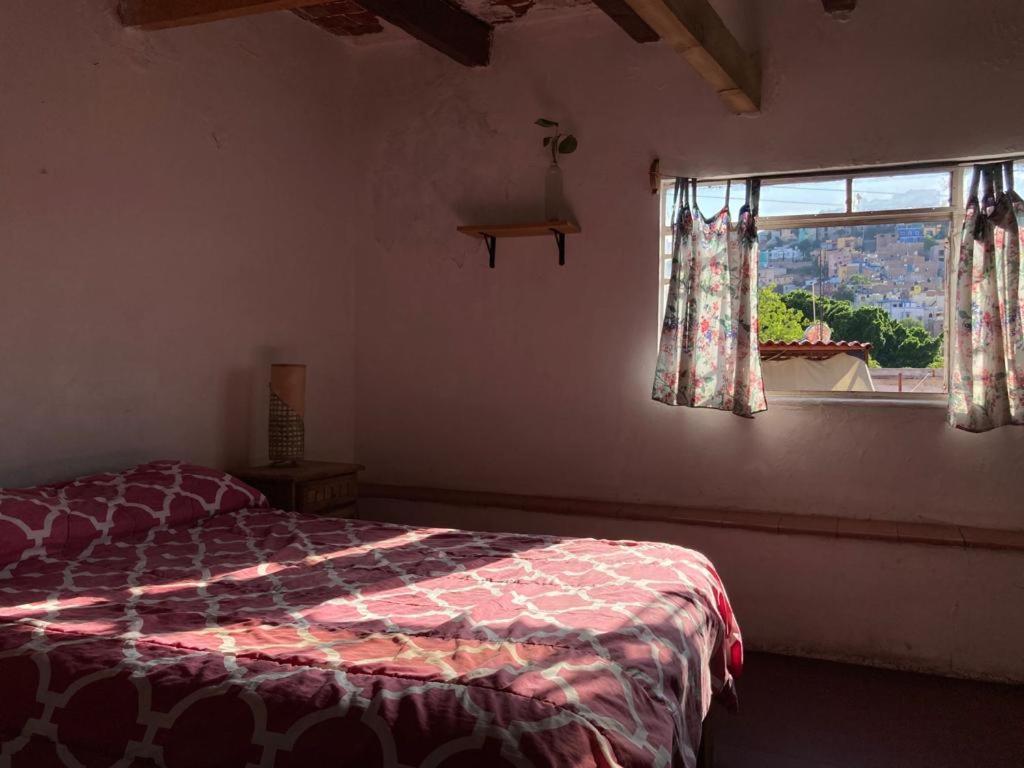 Hostalito Casa Alebrije Guanajuato Kültér fotó