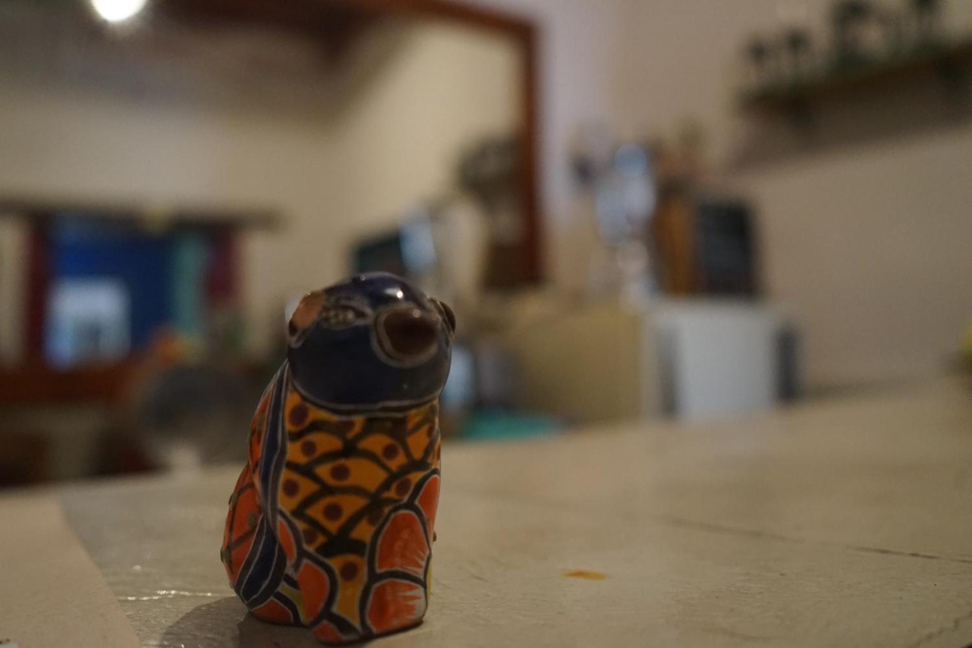 Hostalito Casa Alebrije Guanajuato Kültér fotó